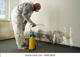 Best Mold Remediation for Healthcare Facilities  in Somerset, WI